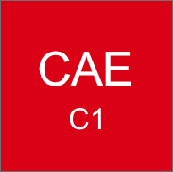 Examen Cambridge CAE (C1)